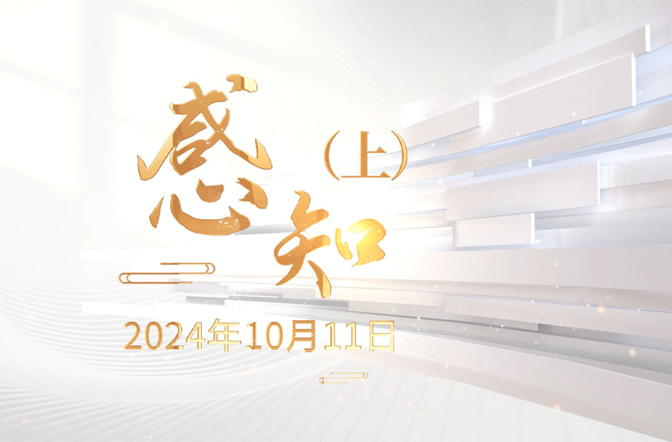 2024年10月11日—感知（上）