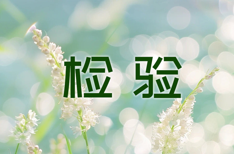 检验 2024-10-19