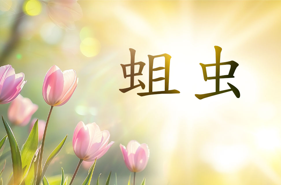 蛆虫 2025-03-25